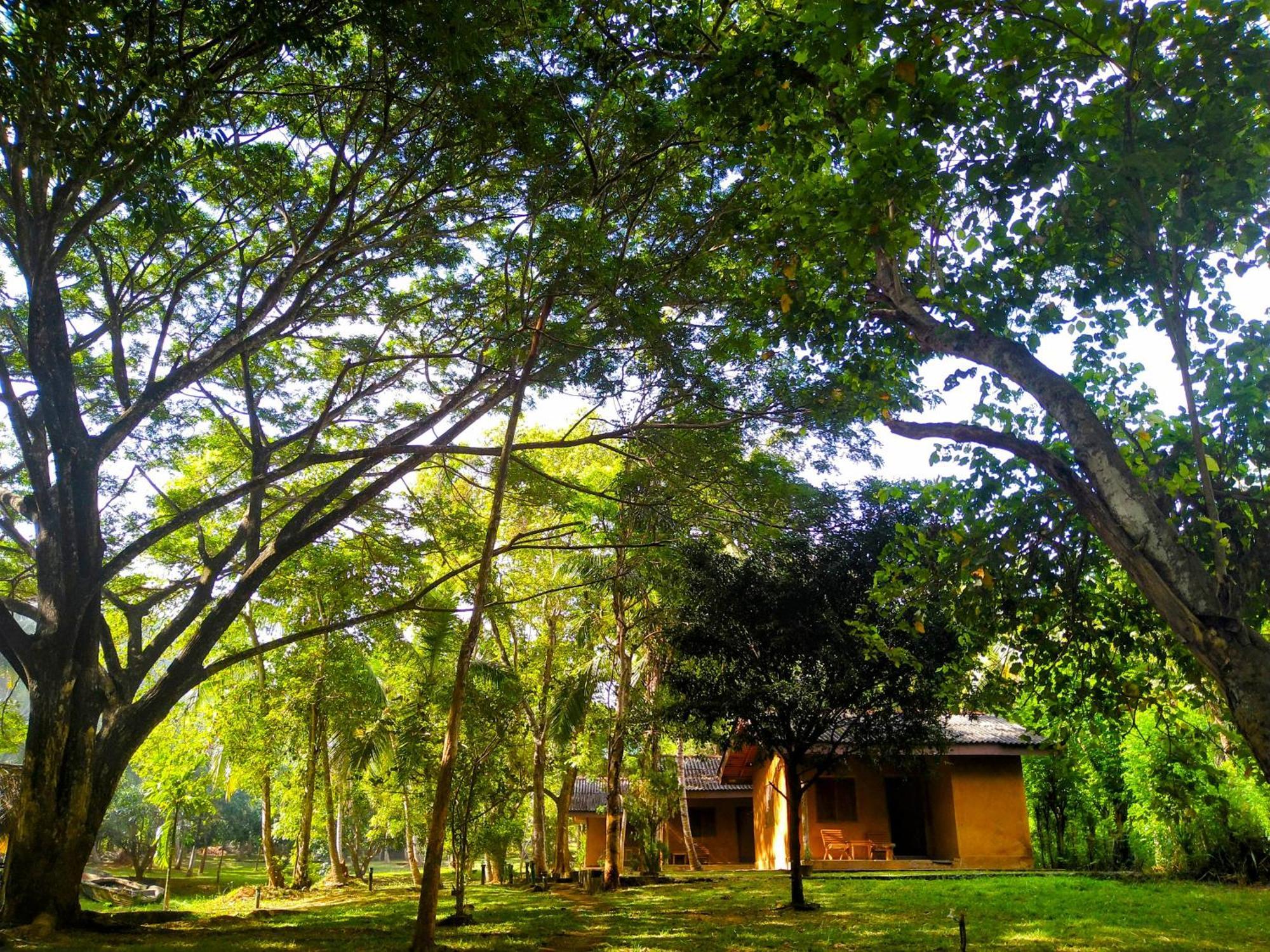 Hotel Nuwa Serenity River Retreat Udawalawe Exterior foto