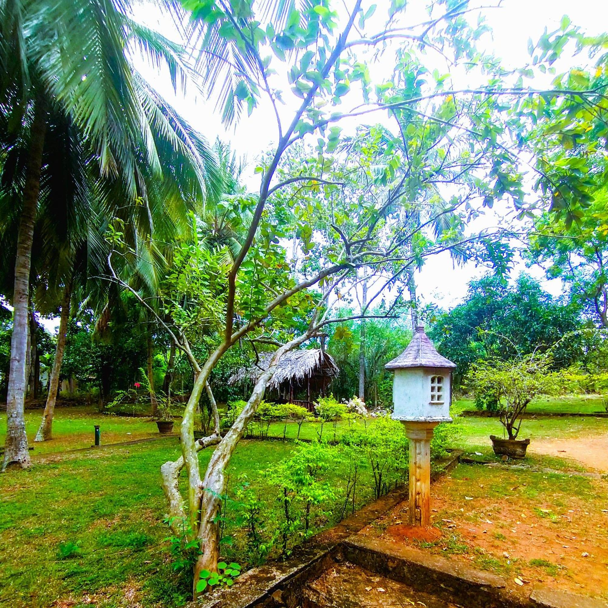 Hotel Nuwa Serenity River Retreat Udawalawe Exterior foto