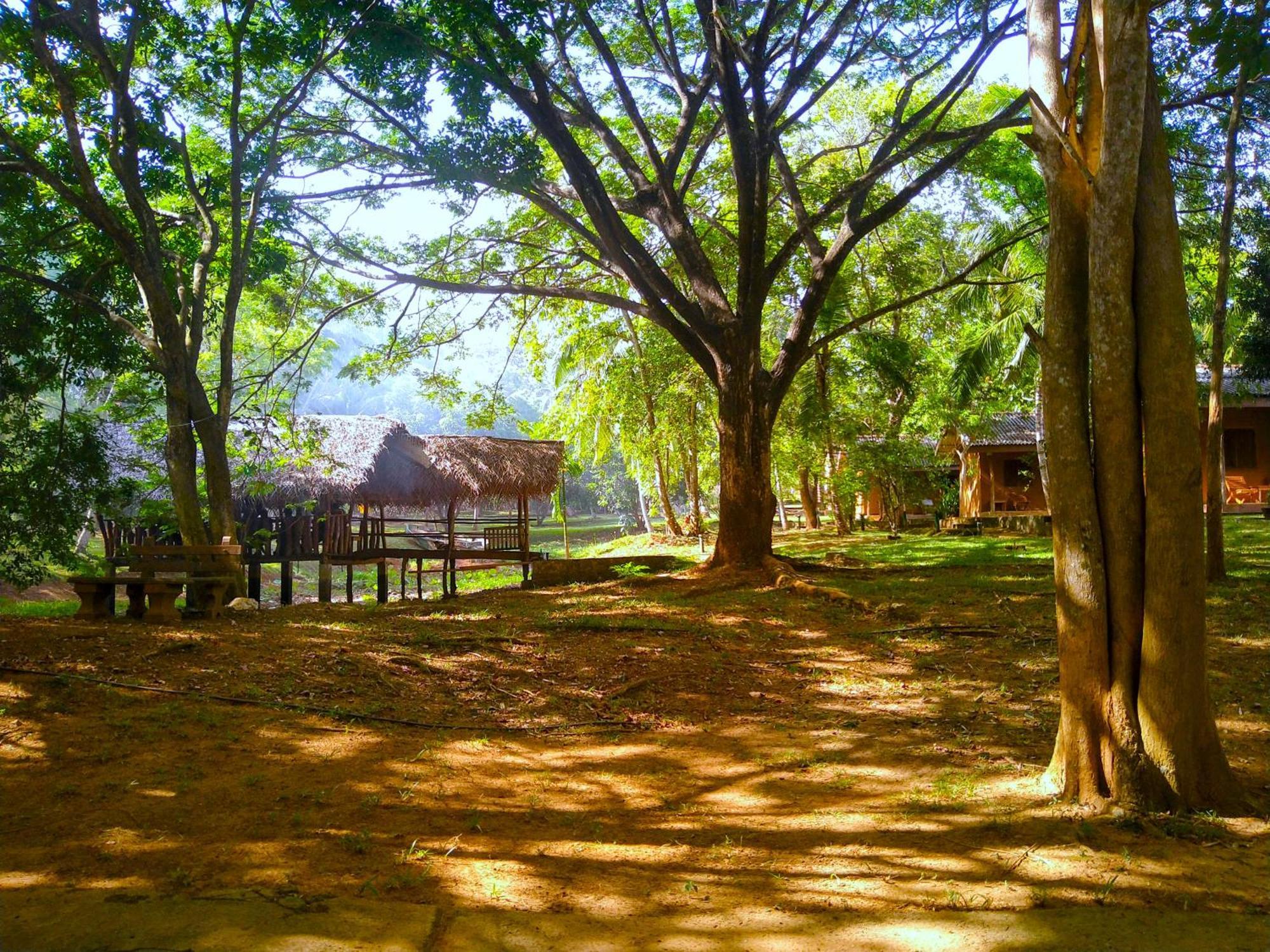 Hotel Nuwa Serenity River Retreat Udawalawe Exterior foto