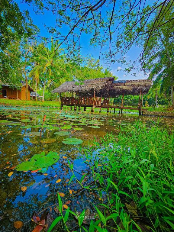 Hotel Nuwa Serenity River Retreat Udawalawe Exterior foto